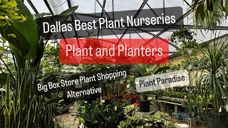 Big Box Store Plant Shopping Alternative Shop Local Plant Nursery Plant and Planters Huge Selection