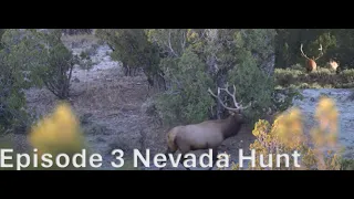 Episode 3 Nevada Archery Elk Hunt - The Hunt for Casper