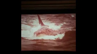 THE LIFE OF B - Projecting JAWS trailer on 35mm [#instagram #theBACarchive #jaws #35mm]