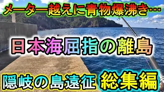 【総集編】泳がせアジが次々消える…堤防で魚が爆沸き&１ｍ越え怪物も釣れる離島が楽しすぎる