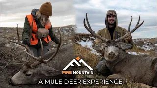 Public Land Mule Deer Double!