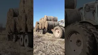 спарка тракторов тащит 2 прицепа сена
