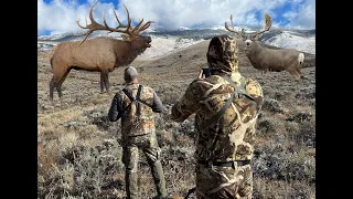 Colorado Public Land Hunt (Elk and Mule Deer)