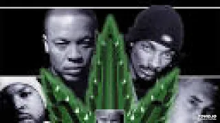 snoop dogg bitch please (featuring nate dogg and xzibit) (live the up in smoke tour)