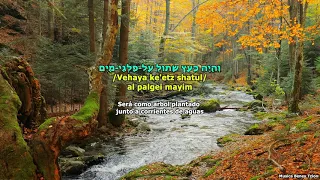 Ashrei Ha'ish מקדם - אשרי האיש Miqedem (Salmo 1)