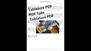 Délire Flamenco - (avec Tutorial + Tablature Tabs PDF) Niveau Facile / Easy Level