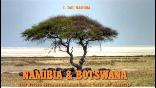 Namibia und Botswana - fünf Wochen unterwegs zwischen Etosha, Chobe und Okavango Teil 1