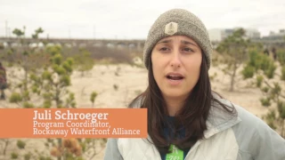 Rockaway Dune Planting with the Nature Conservancy’s LEAF Ambassadors!