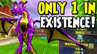 9 Obscure Wizard101 Facts You DON'T Know!