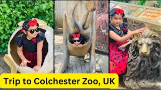 Zoo trip Colchester UK.... An unforgettable trip