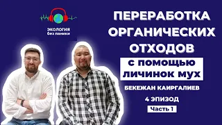 Переработка органических отходов с помощью личинок мух. Часть 1. Подкаст Экология без паники.