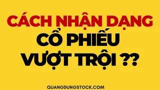 CÁCH NHẬN DẠNG CỔ PHIẾU VƯỢT TRỘI | ĐẦU TƯ CHỨNG KHOÁN