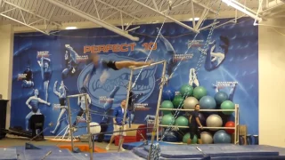 Alex McMurtry, Florida - Bar Routine