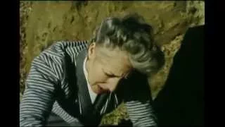 Dont Let Him Die (1968) UK Public Information Film
