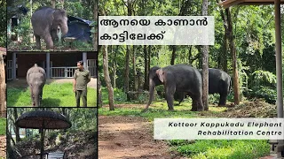 ആനയെ കാണാൻ കാട്ടിലേക്ക് | Kottoor Kappukadu Elephant Rehabilitation Centre