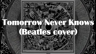 Tomorrow Never Knows - Revolver - Beatles cover
