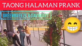 TAONG HALAMAN PRANK: GREENBREEZE & DAVIMART".😁