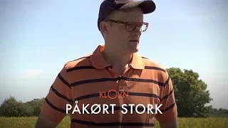 Klovn Citater - Påkørt stork