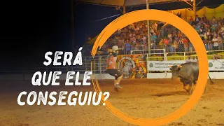 Olha a coragem deles! Bullfighter com Touros Miúras em Ibirarema