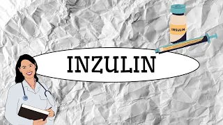INZULIN - Jak vlastně funguje a jaký je jeho úkol