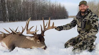 185" Alberta Whitetail Hunt