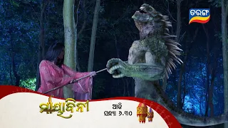 Mayabini ମାୟାବିନୀ | Episodic Promo | 24th Nov | Ep-33 | Today @6.30 PM | Tarang TV