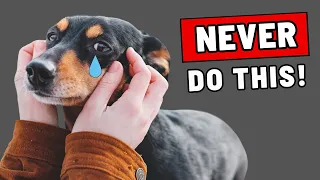 9 Things a Dog Will NEVER Forgive