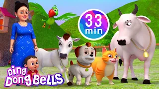 Meow Meow Billi Karti + More Hindi & Nursery Rhymes For Kids | Ding Dong Bells