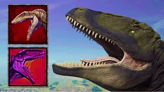 The Best Carcharodontosaurus Build | Path of Titans