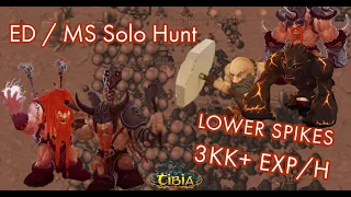 Tibia 2021 - Lower Spikes For ED/MS. 3KK EXP - Charm Spot