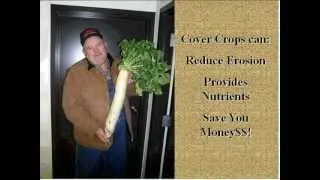 Managing Cover Crops for Nutrient Management - A Farmer's Perspective