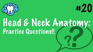 Head & Neck Anatomy | PRACTICE QUESTIONS | INBDE