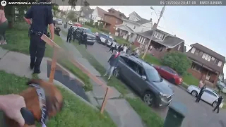 Officer Body Camera Video Allowing His K-9 Officer to Attack Arrested Men