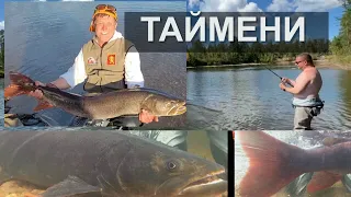 Большие ТАЙМЕНИ - много!!! Команда рыбаков клуба "ЛЕФУ" на новой реке в Якутии (3 серия)