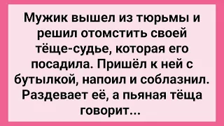 Мужик Вышел из Тюрьмы и Отомстил Теще! Сборник Свежих Смешных Жизненных Анекдотов!