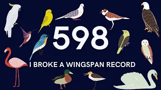 I Broke A Wingspan Record