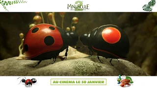 MINUSCULE 2 : LE 30 JANVIER AU CINÉMA