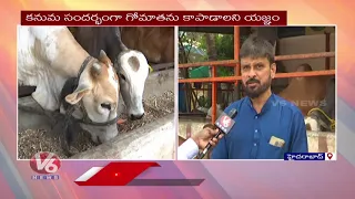 Love4Cow Foundation To Hold Gou-Yatra From Charminar | V6 News