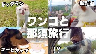 犬と遊べる遊園地&サファリパークが楽し過ぎたw【栃木最高】