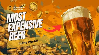 World's Most Expensive Beers [2023]