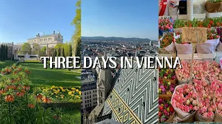 THINGS TO DO IN VIENNA | AUSTRIA TRAVEL GUIDE
