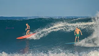 Surfing Wilderness Puerto Rico