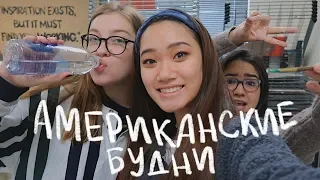 будни американских школьников (vlog 52) | Polina Sladkova
