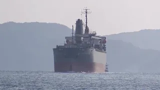 大型貨物船　TROPICAL  VENUS  接岸