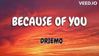 Because of you- Driemo (lyrics)
