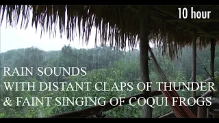 10 hour RAIN Sounds with Coqui frogs for Sleeping | Sleep and Relaxation | Rain Forest Nature Sound