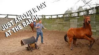 Just Another Day at the Ranch - Episode 12