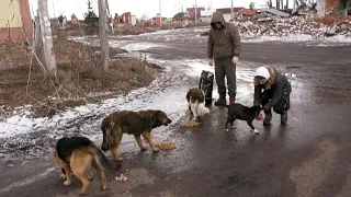 "Für mich ist er ein Held": Helfer versorgen Hunde in der Ost-Ukraine | AFP