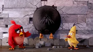 Это же Пол? - "Angry Birds" отрывок из фильма