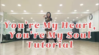 You're My Heart, You're My Soul Linedance(tutorial)